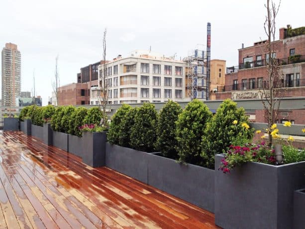 the use of planters and plant as natural deck railing screen