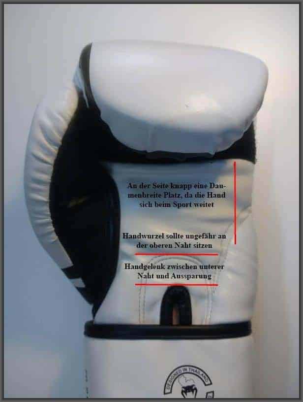 Passender Boxhandschuh Abmessungen