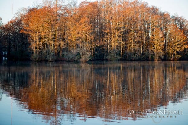 Greenfield Lake, Wilmington NC www.JohnCarnessali.com