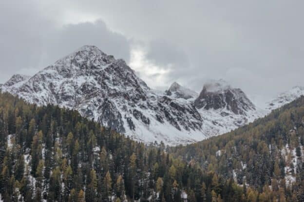 How Cold Shadows Create Micro-Frost Pockets