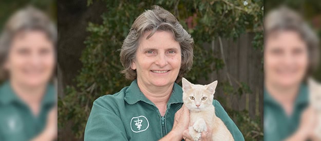 Patsy Bolf, DVM, Veterinarian in Floresville, TX