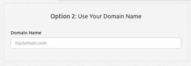 DDNS domain name configuration screen for Dynu DNS.