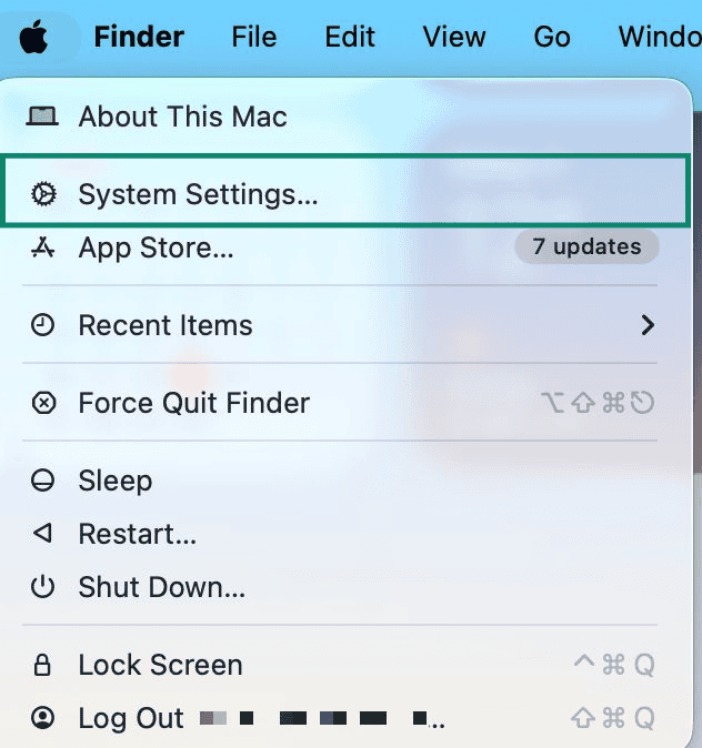 The "System Settings" option on macOS.