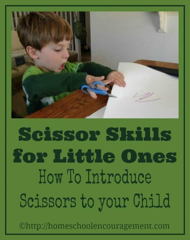 Cut and Paste Workbook Scissors Preschool: Cut and Glue Activity Book, ,  Scissor Skills Workbook for 2 Year Old and Older Kids, Preschool Cutting  and