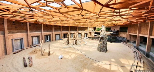 ZOO Łódź i Orientarium w budowie