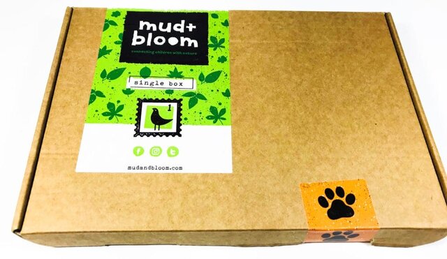 Mud & Bloom
