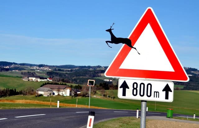 Verkehrszeichen Wildwechsel