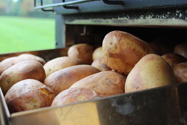 How Microwave Jacket Potato - BillLentis.com