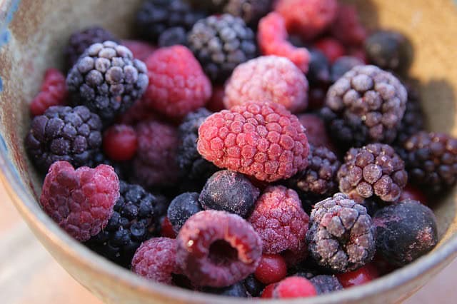 Can You Put Frozen Fruit In A Blender -- Bill Lentis Media