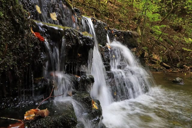 how to purify water in the wild