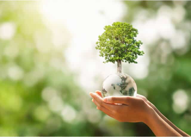 キッチンに付けるディスポーザーとは? ECO