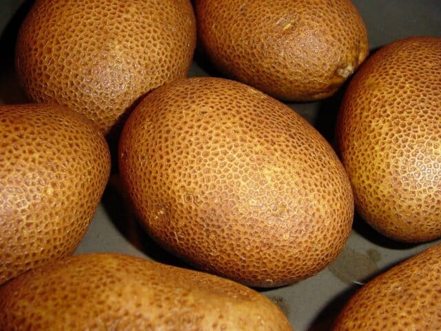 Organically grown Russet Burbanks potatoes. Image credit: Steve Caruso