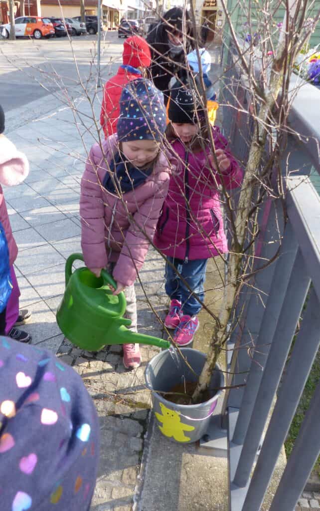 Große Birkenpflanz Aktion in Spremberg
