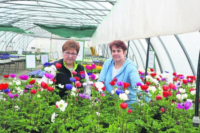 Frauendorf bereitet sich auf den Frühling vor