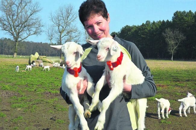 Land und Leute: Wildbrunch, Schlachtfest, Blasmusik