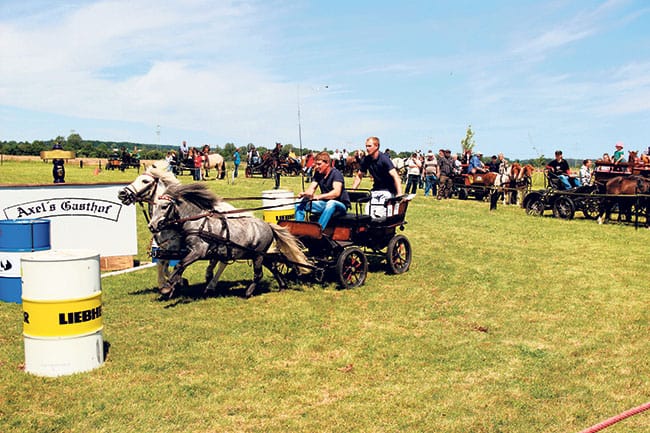Schwarzbach lädt  am 18.9. zum Reiterfest