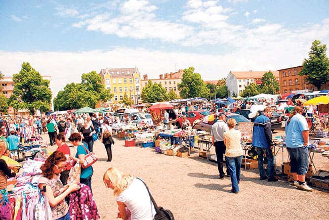 Cottbus: Viehmarkt bleibt ein Zugpferd