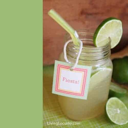 Cinco de Mayo Party Ideas - Margarita Recipe - Free Printables