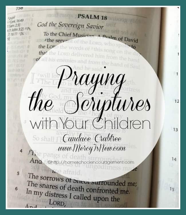 Are you sometimes at a loss of how and what to pray for your kids?  Try Praying the Scriptures!! God's Word is full of verses that can be turned into prayers that fight fear and anger, prayers for encouragement, and so much more. This helpful guide by Candace Crabtree will help you pray your kids through tough situations. AND it will strengthen your prayer life!