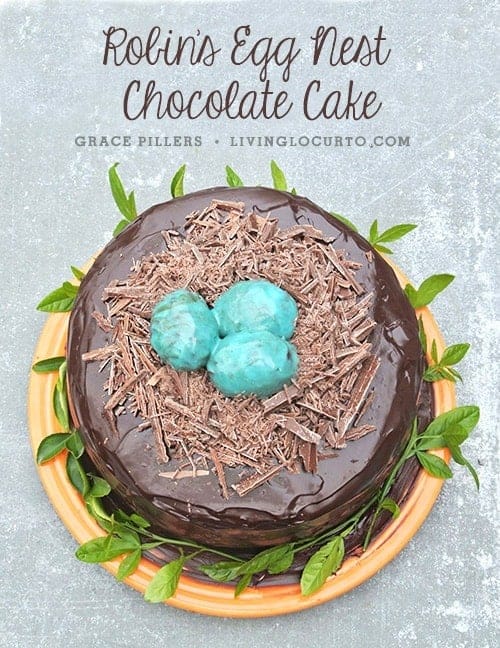 Robin's Egg Nest Chocolate Cake recipe with rich chocolate ganache frosting! How to make a beautiful chocolate cake for spring, Easter or baby shower. 