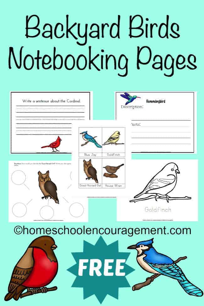 Are you learning about birds?  Take a look at this FREE Backyard Birds Notebooking Page set.  It's a great way to help your kids learn more about the birds that are common to your own backyard.