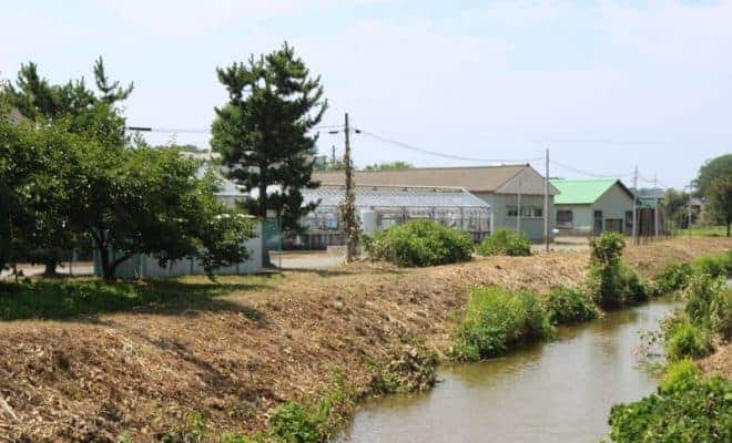越後 琵琶島城 上杉家に忠実な宇佐美氏の本拠地 お城解説 日本全国 1300情報 城旅人