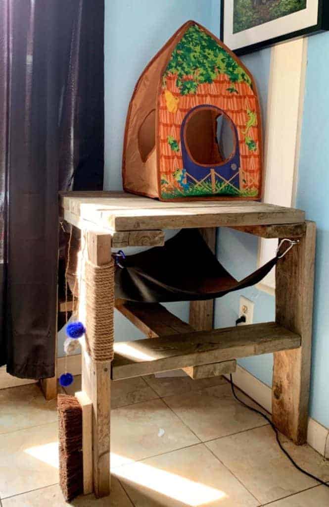 wood table cat play station