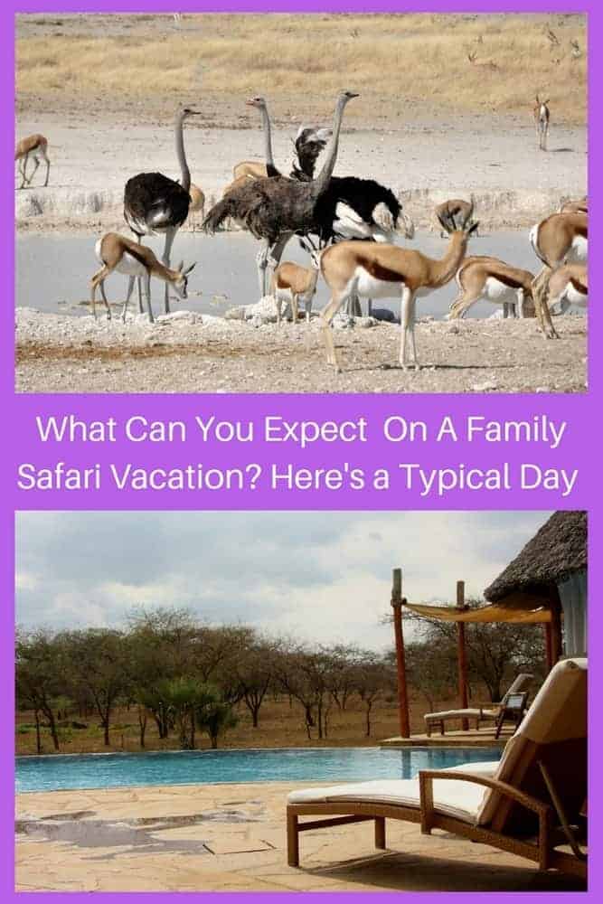 An african safari vacation offers days full of tracking animals and taking photos and relaxing at camp. Here is what to expect if your family takes a safari vacation. #safari #vacation #kids