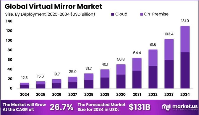 Virtual Mirror Market size