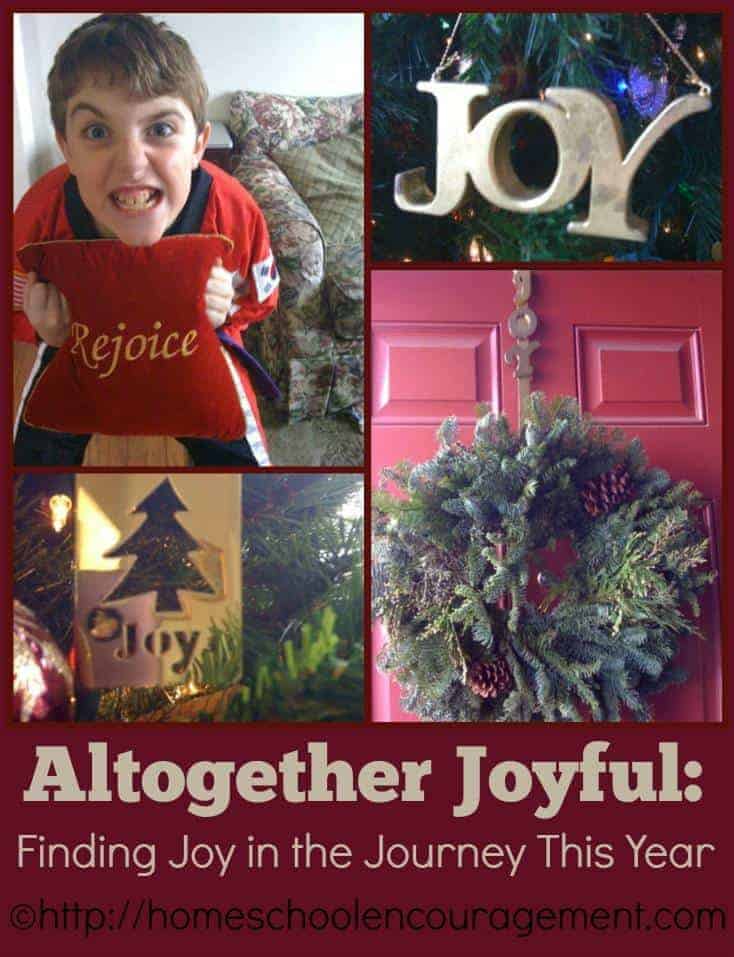 Do you need more joy? The busyness and distractions of the Christmas season can steal our joy. Why not make a commitment this Christmas to find JOY in the journey? It will change your perspective.