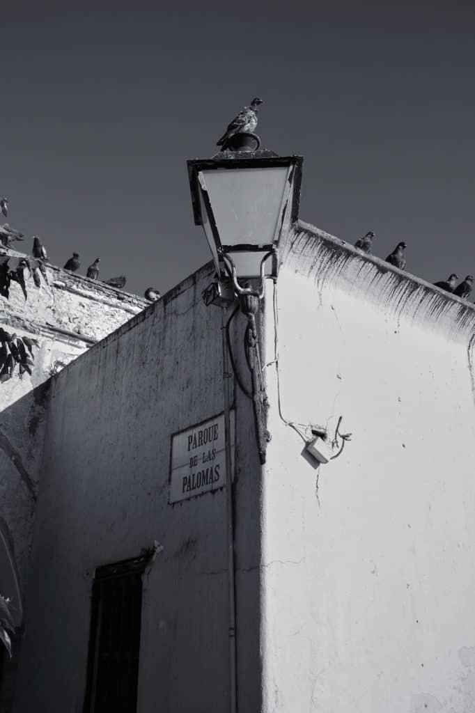 Capilla del Santo Cristo de la Salud