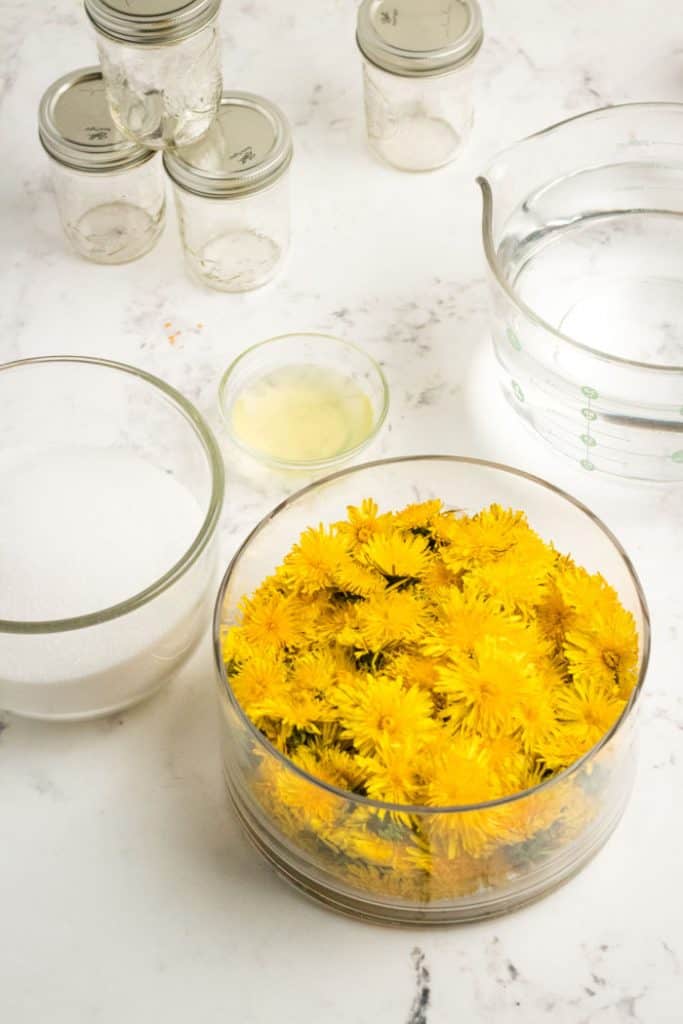 Ingredients for dandelion jam.