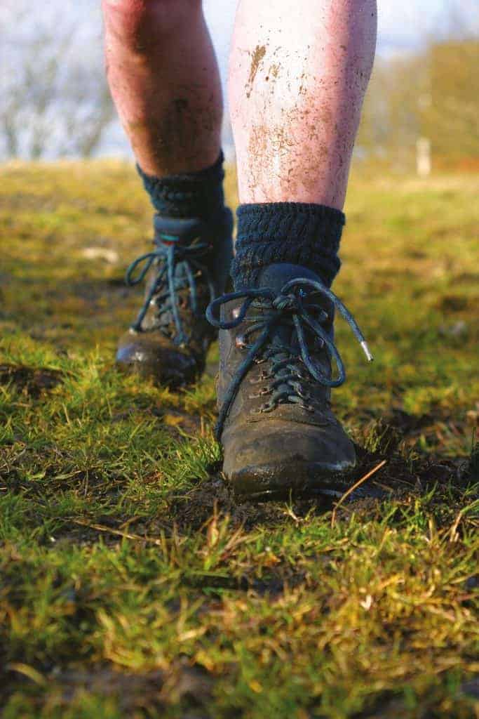 12 Best Walking Socks for 2023 - Hike Blister Free 12 Best Walking Socks for 2021