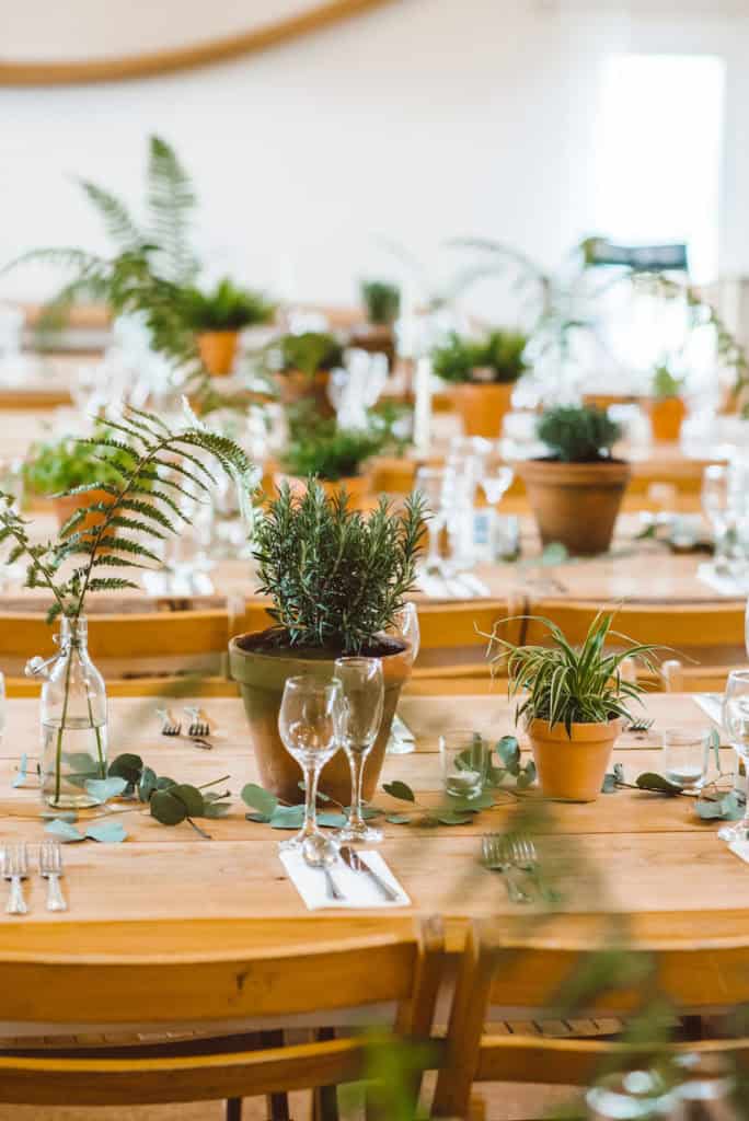 Potted Plants wedding centrepieces for an eco wedding