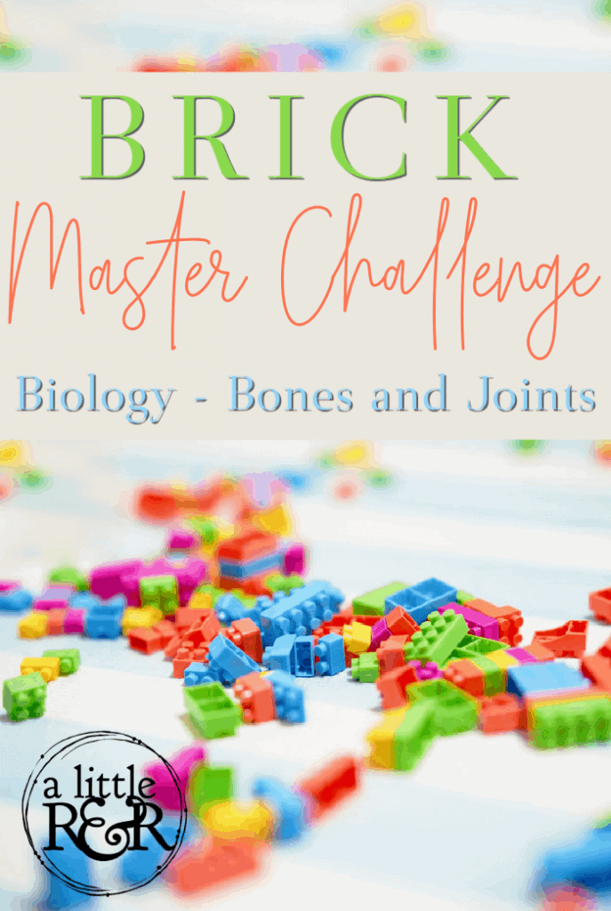 Brick Master Challenge Cards Biology Bones and Joints
