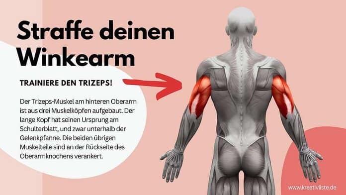 Täglich diese 3 Übungen gegen Winkearme zu Hause machen 1 Um den Oberarm zu straffen, sind Übungen für den Trizeps ideal