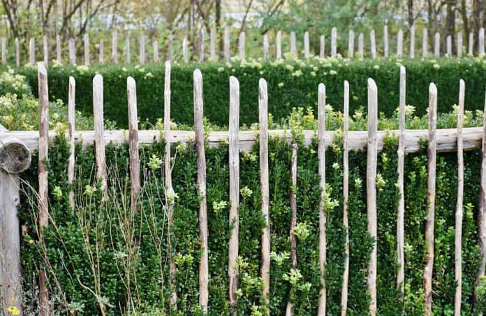 Vegetable Garden Fence - Bill Lentis Media