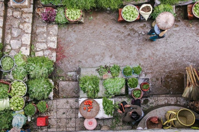 Best Vegetables For Container Gardening - Bill Lentis Media