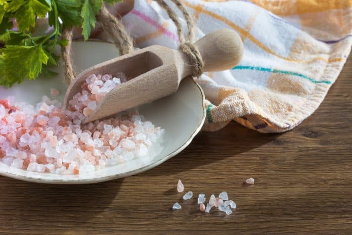 Can You Grind Salt In A Blender - Bill Lentis Media Can You Grind Salt In A Blender - Bill Lentis Media