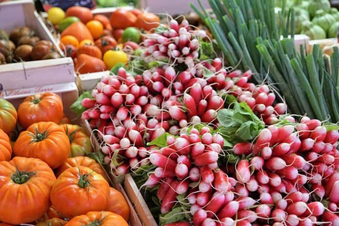 Vegetable Garden Design - Bill Lentis Media