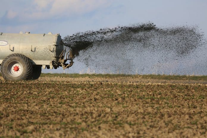 Vegetable Garden Fertilizer - Bill Lentis Media