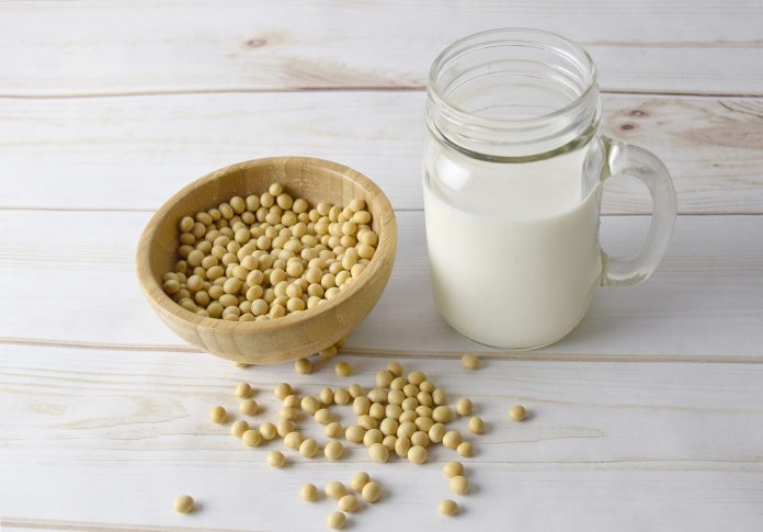 How To Make Soybean Milk With A Blender - Bill Lentis Media