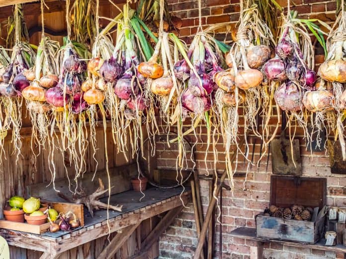 Hanging Vegetable Garden - Bill Lentis Media