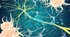 Three colorful neurons with yellow branching dendrites and a blue myelinated axon within a neural network.