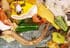 Pile of household trash including a banana peel, eggshells, plastic wrap, bottle, and fruit scraps on a shiny surface.