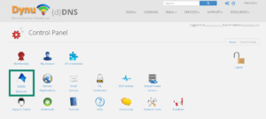 Dynu control panel showing DDNS Services option