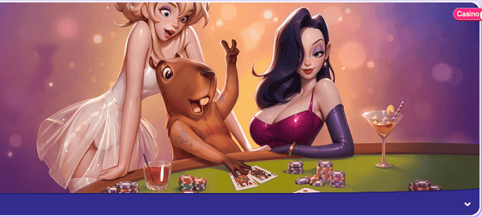 Spinbara Live Casino 