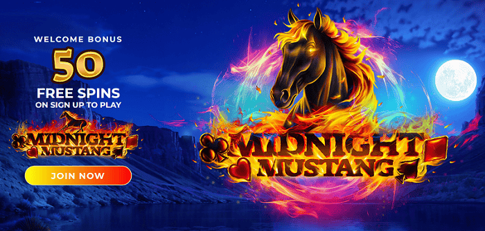 50 free spins landing page 