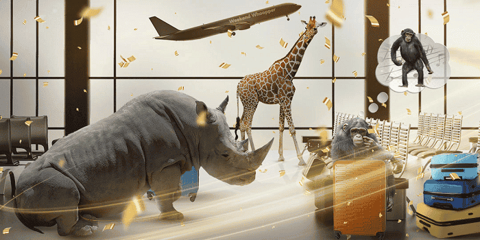 Daily promotions and rewards! 