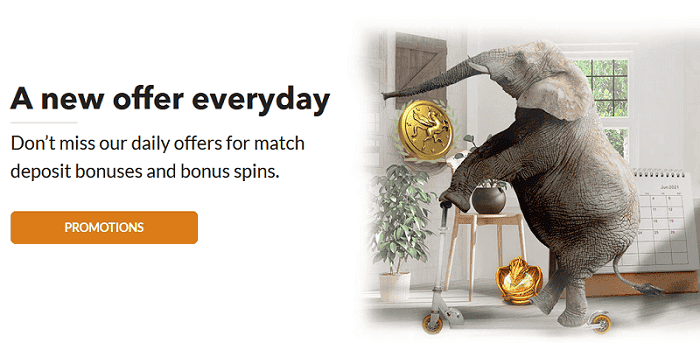 New promotions every day